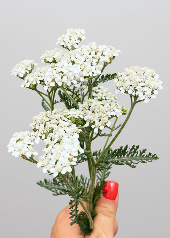 Buff Facial Micro Scrub